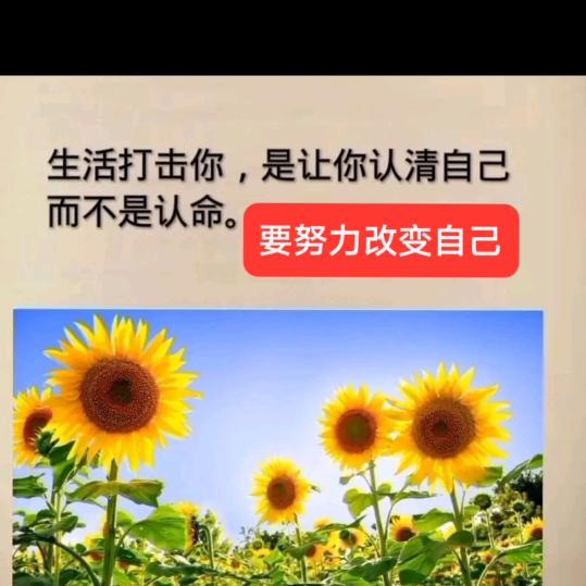 努力改变