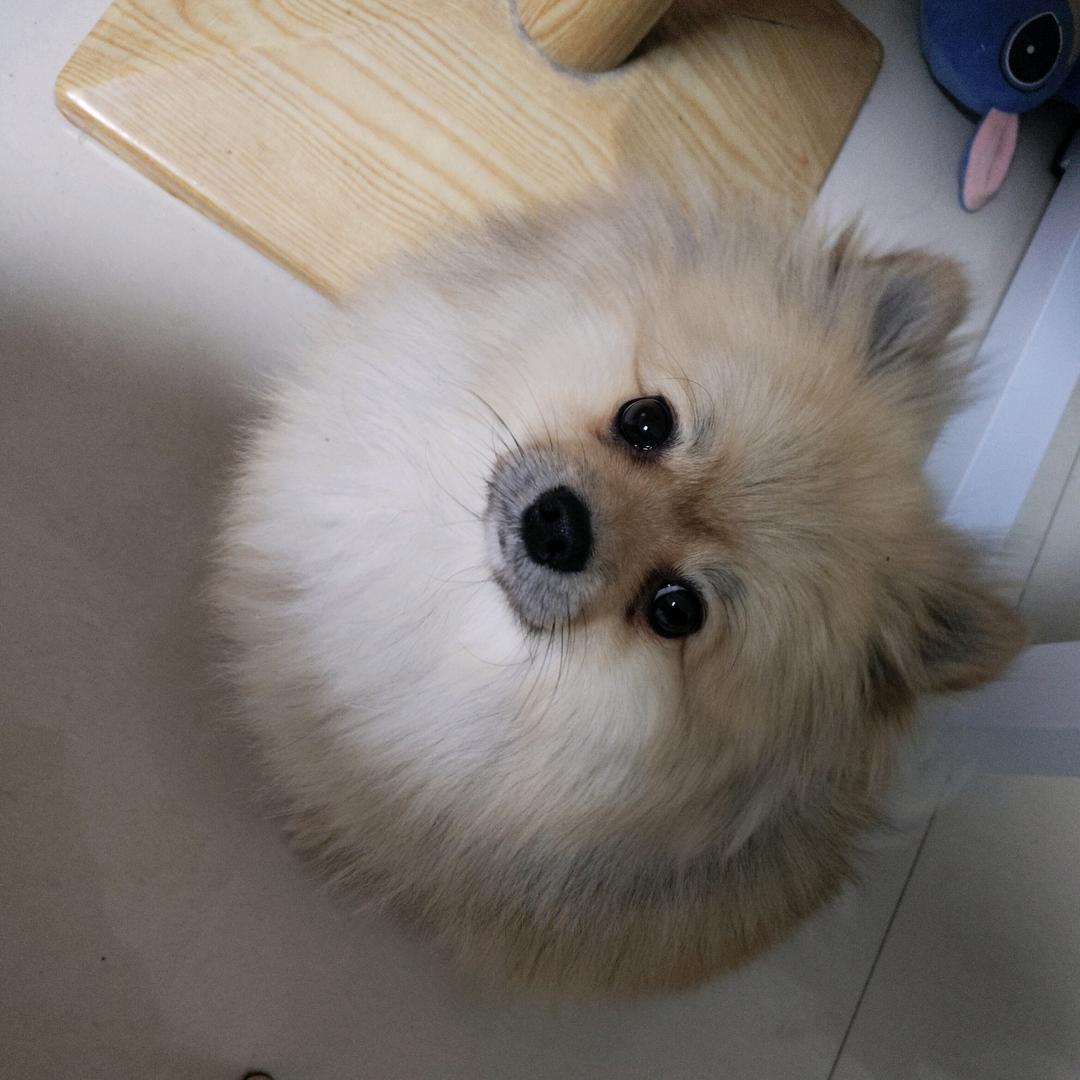 一口四季