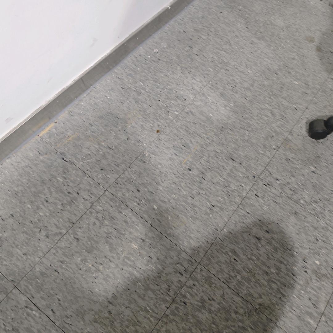 小楠爆款速递