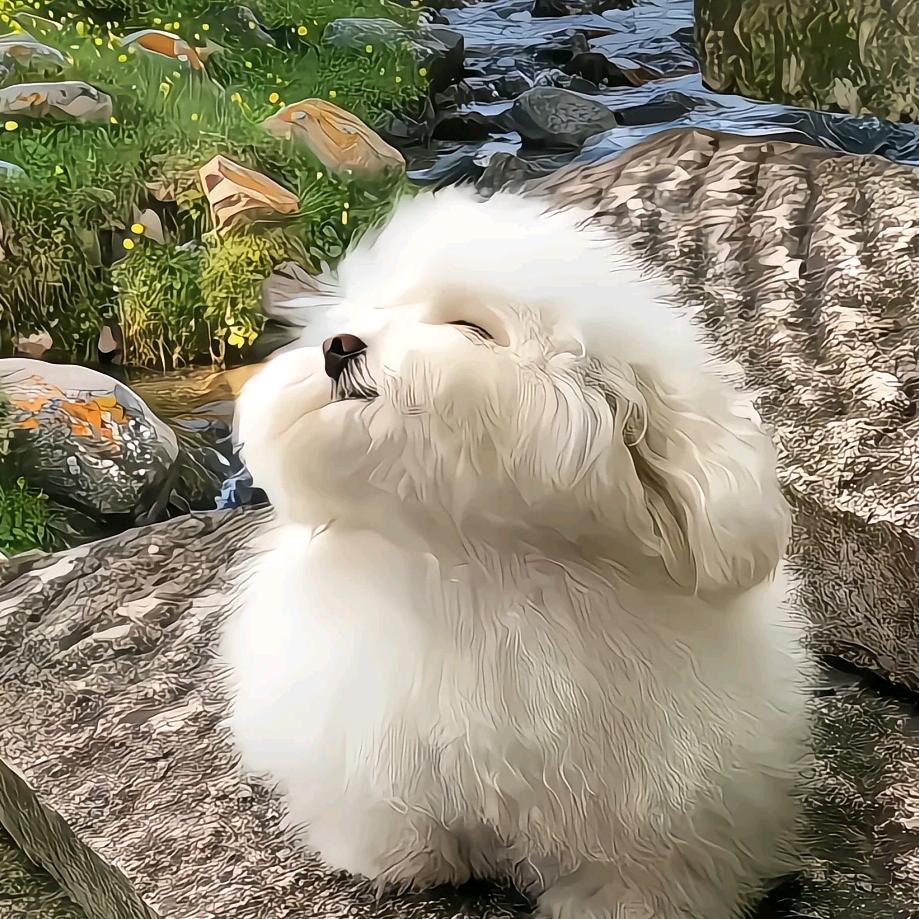 不够优秀，何以拥有