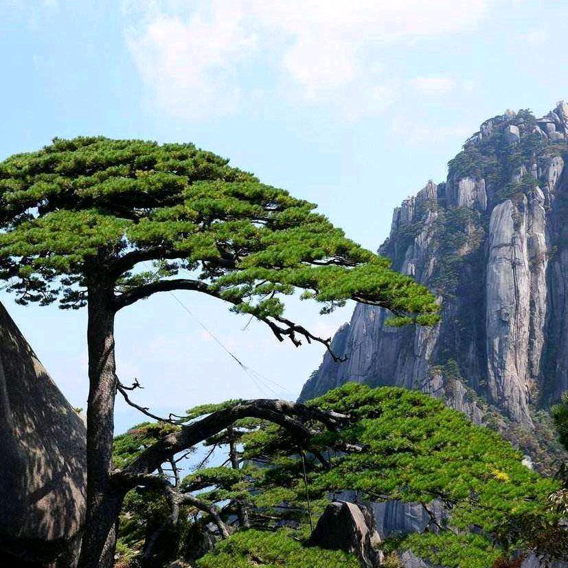 心悦心电子商务有限公司