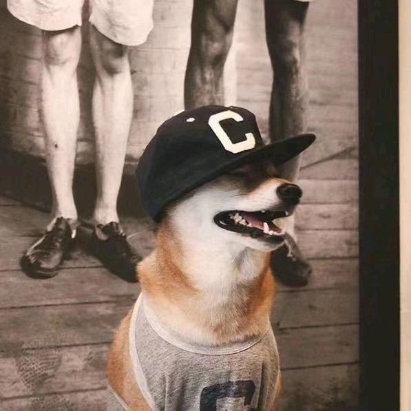 Ace