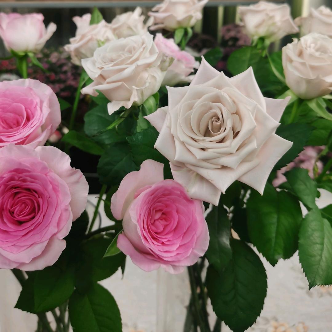 子臻鲜花甄选