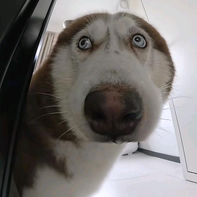 嘿嘿~~~