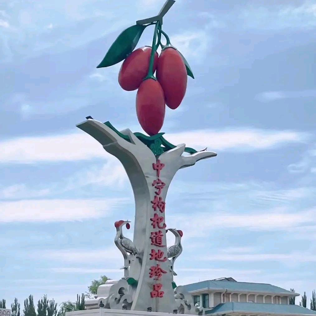 宁夏枸杞合作社(老文)