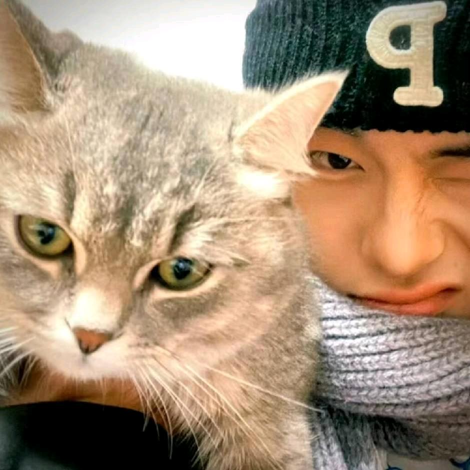 夜深了记得睡觉