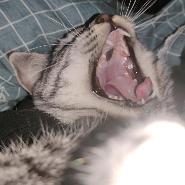 🌈旺崽崽！！！