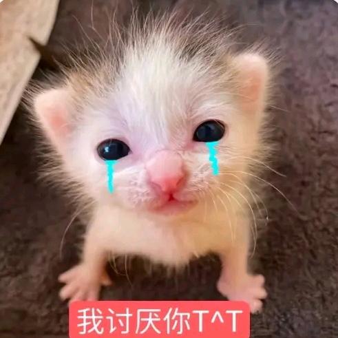 打不出喷嚏会流眼泪