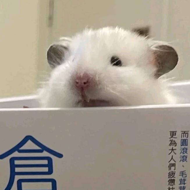 莫非我真的是天才？？？