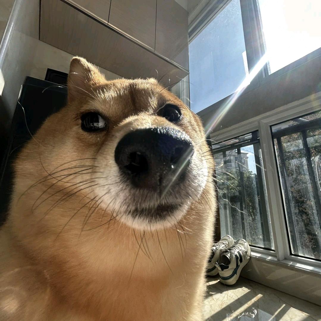 大尾巴尾巴巴尾巴尾尾巴巴