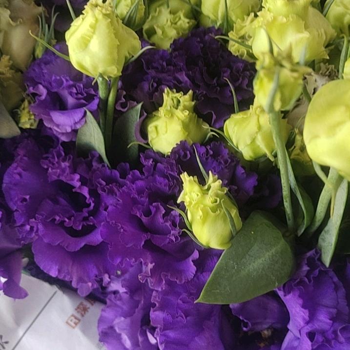 昆明斗南鲜花批发