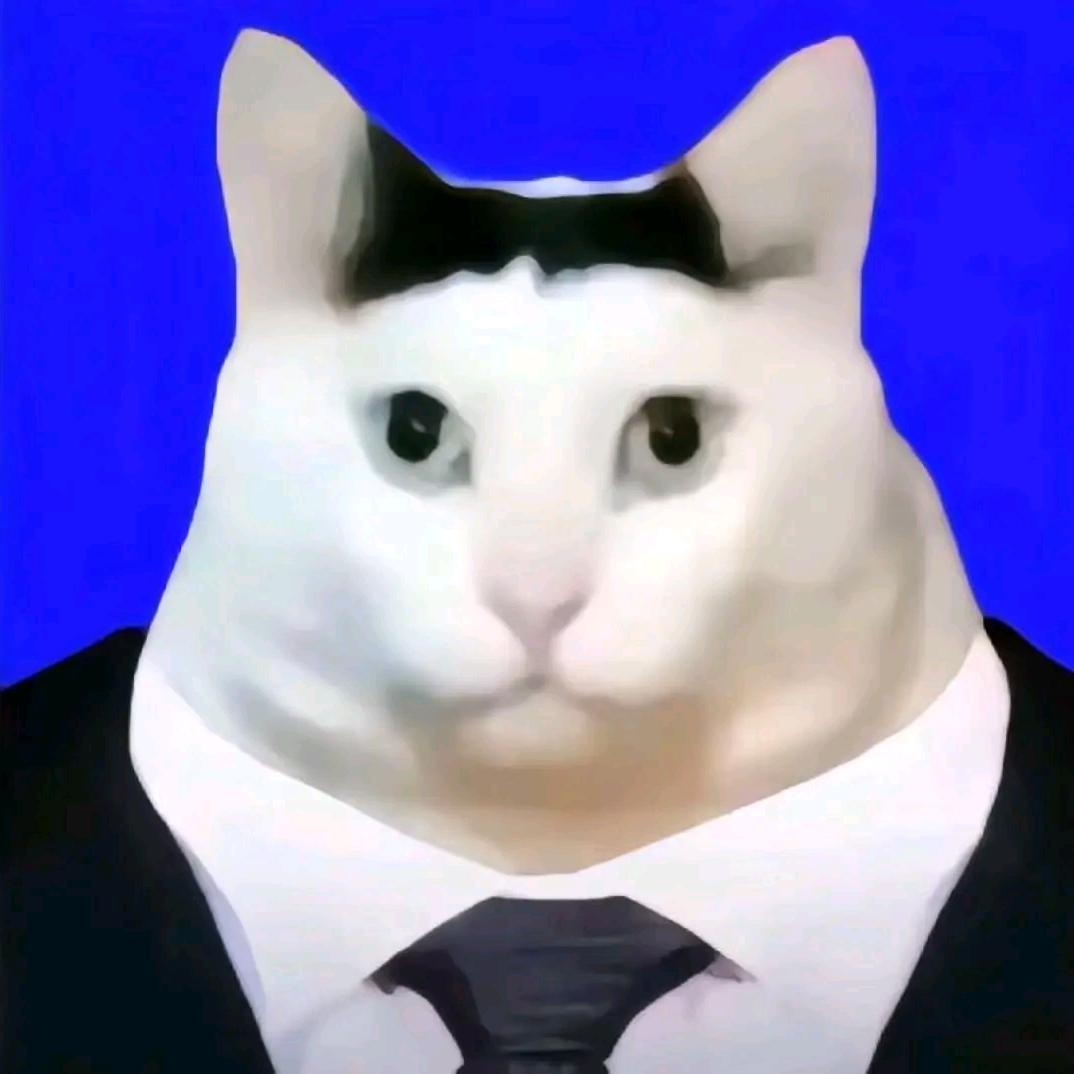 哈基咪（去约玩家）