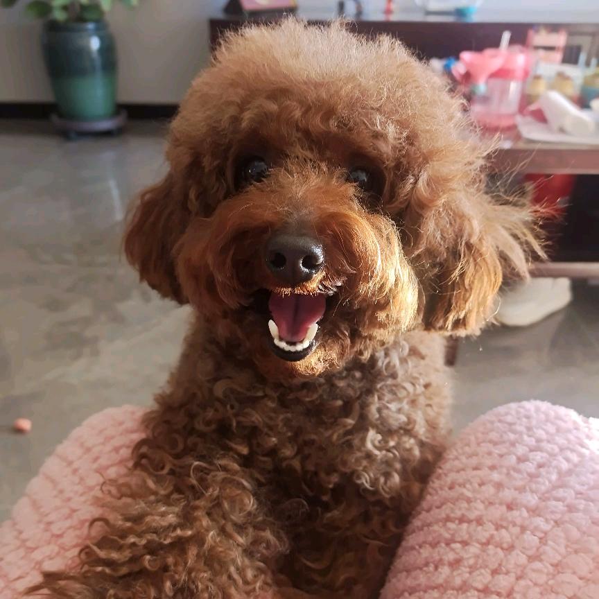 不减下十斤不改名