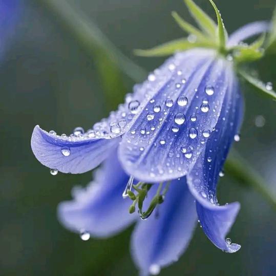 雨天😇😇😇