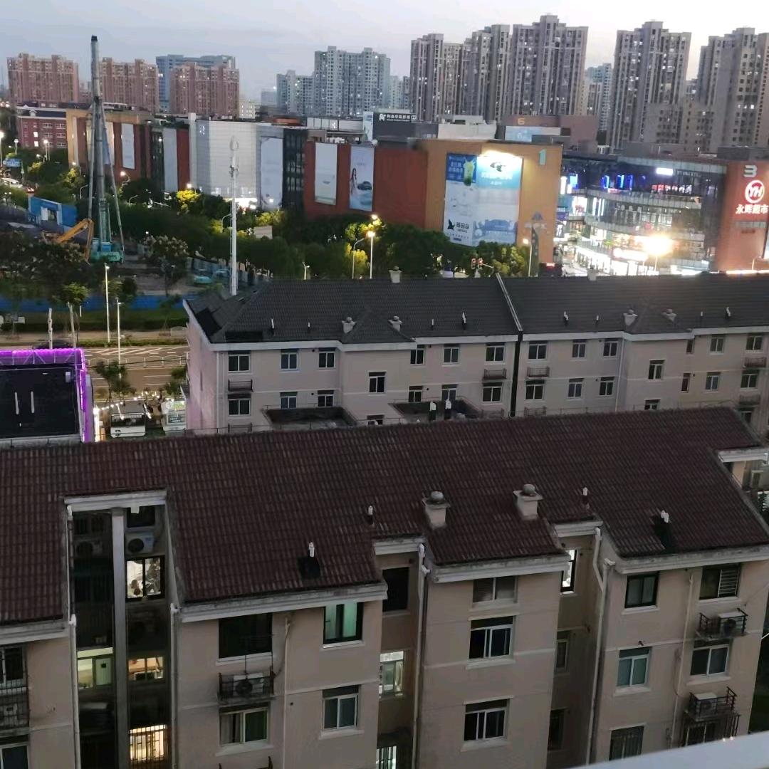 莓有烦恼