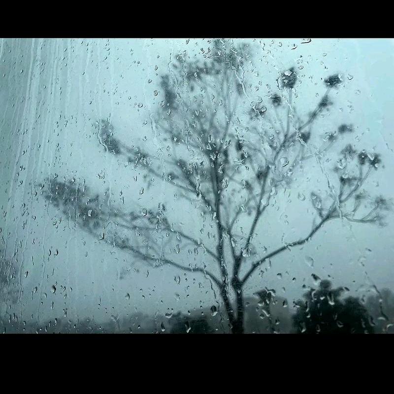 XTY(职业打北版）