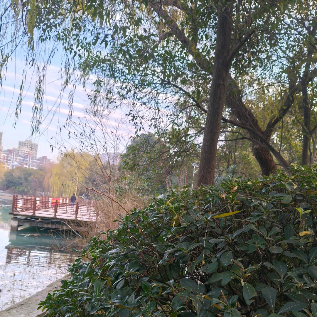 小鱼儿