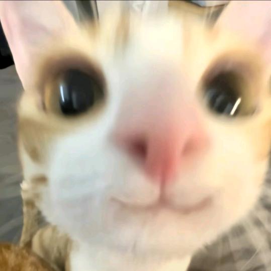 ε٩(๑> ₃ <)۶ з