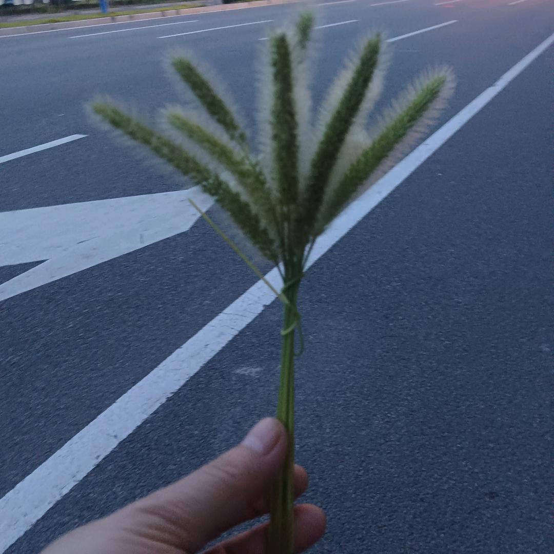 迷茫