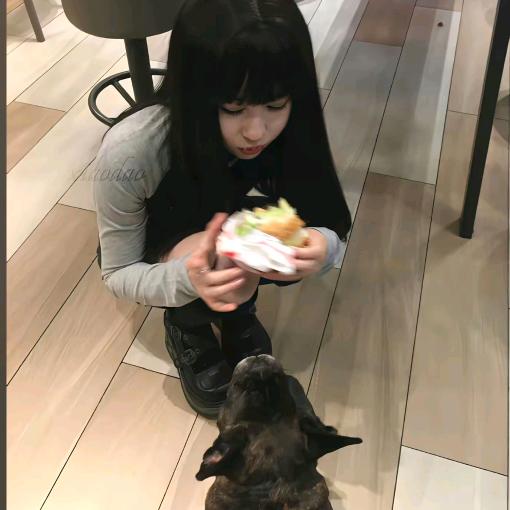 高冷玉米🌽
