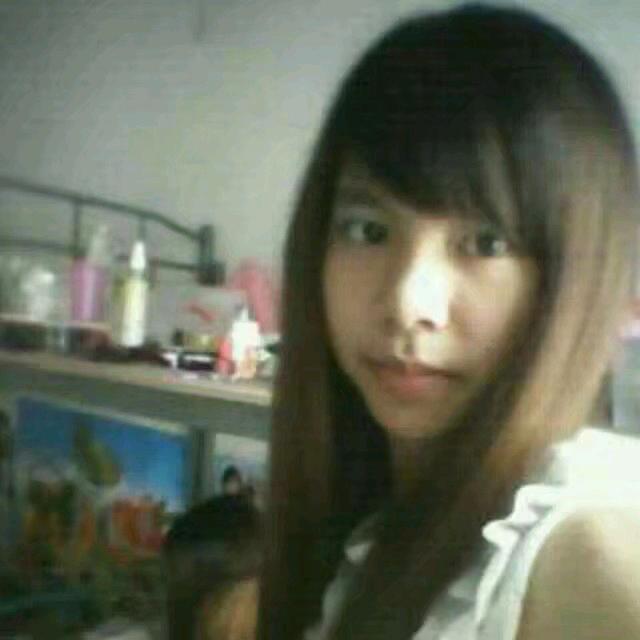 菊花盛开