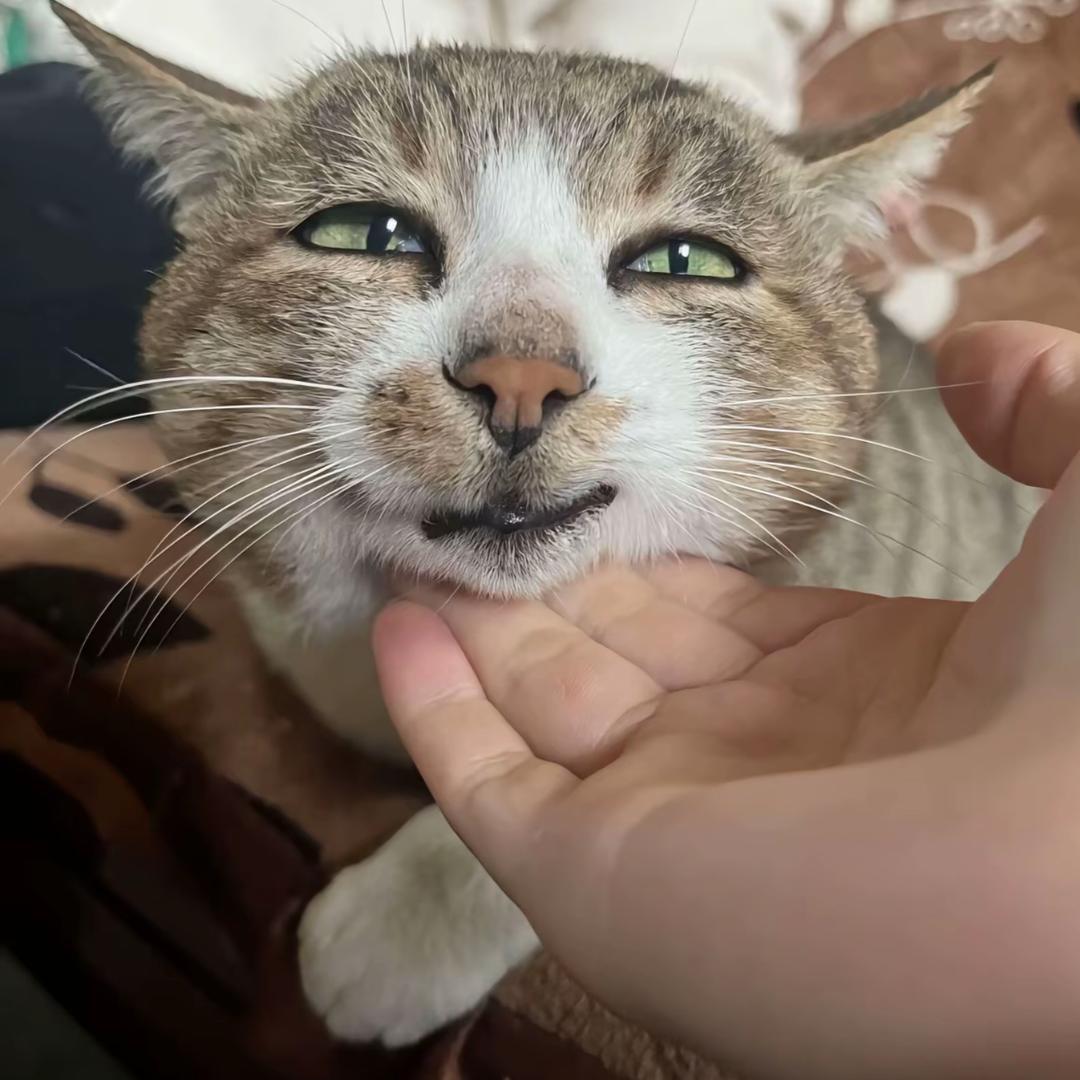 人要是der.吃啥药也不去根