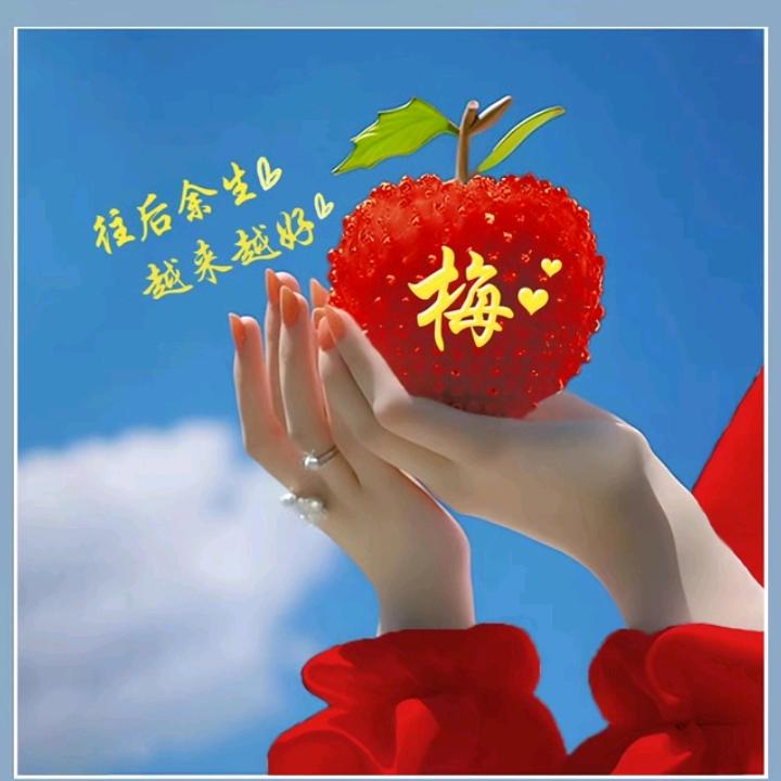 夏日81486