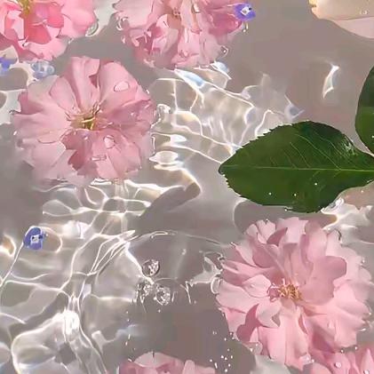 🌸花漫🌺九州