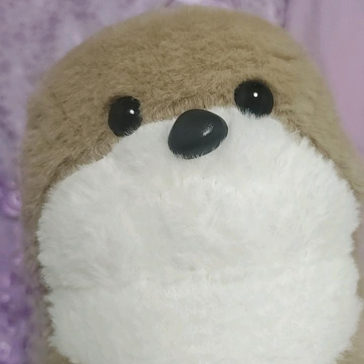 南宫公子 (酒幺.加的专业饮水机)