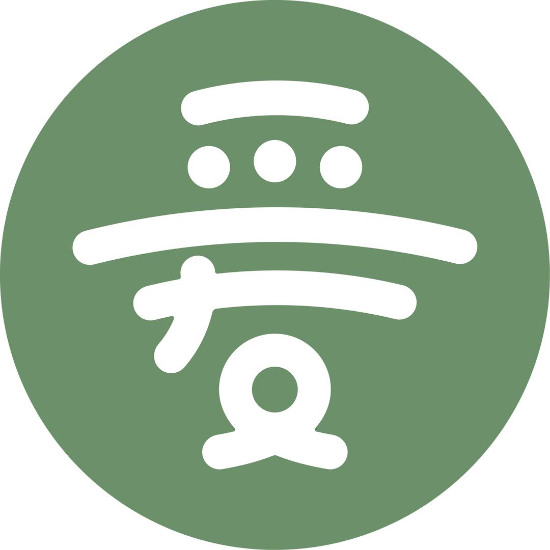 爱达乐TF小蒲
