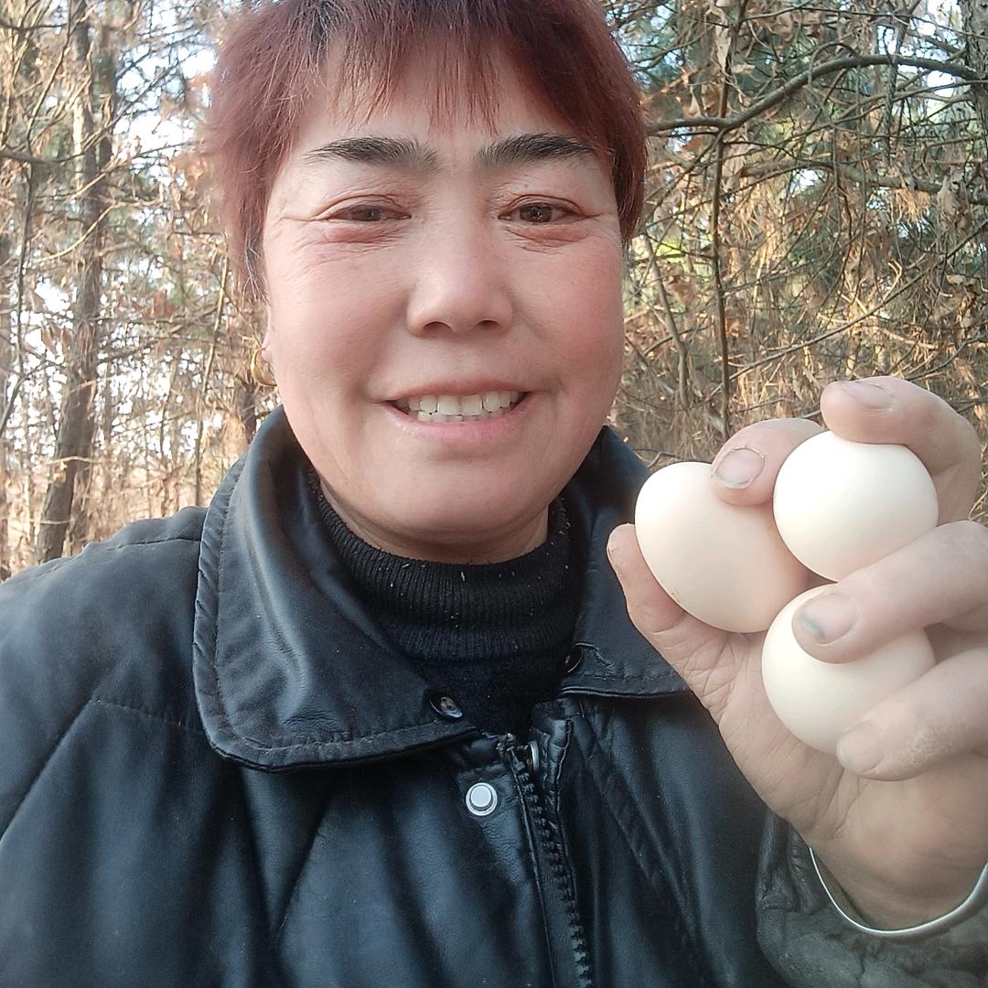 农村养鸡姐