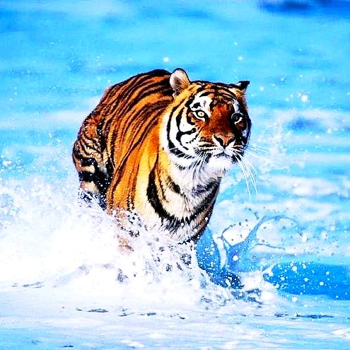 Цзяньфэн建峰