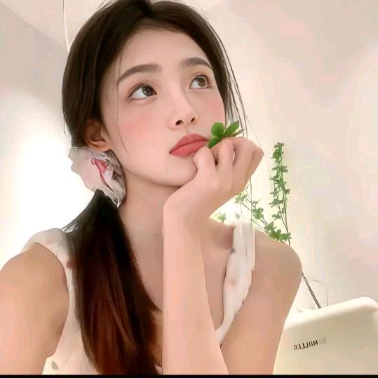 美丽好物