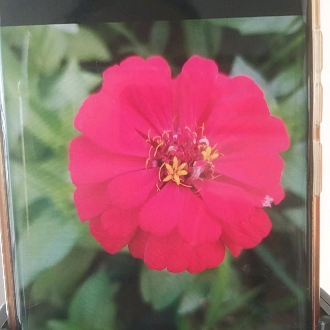 硬妹女王心❤️