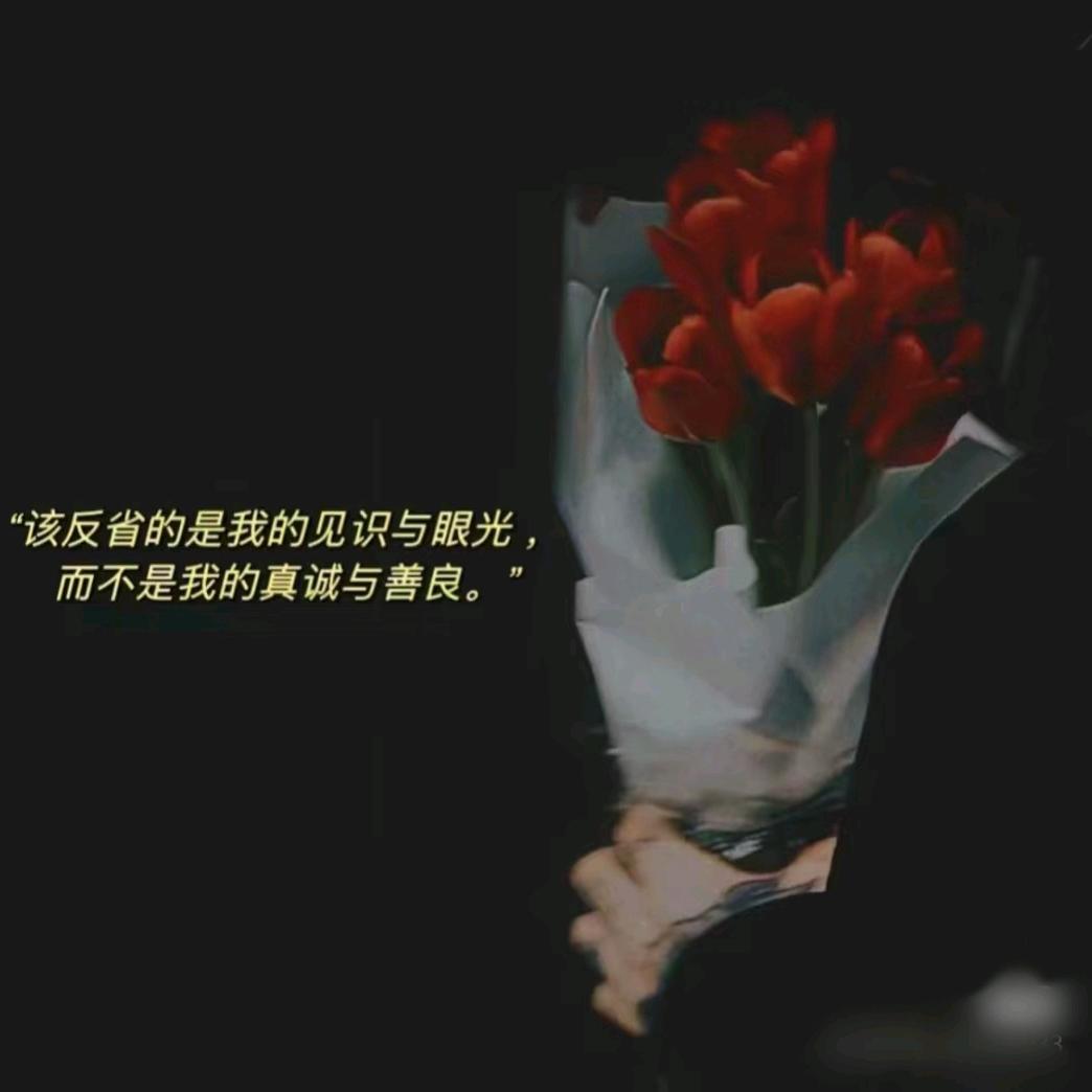 云淡风轻(っ˘зʕ•̫͡•ʔ