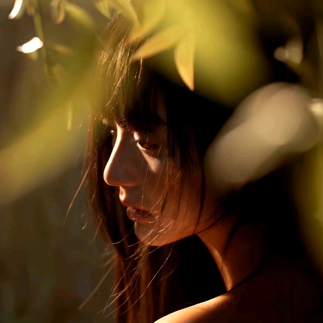 ᵒ⃒与风说心事