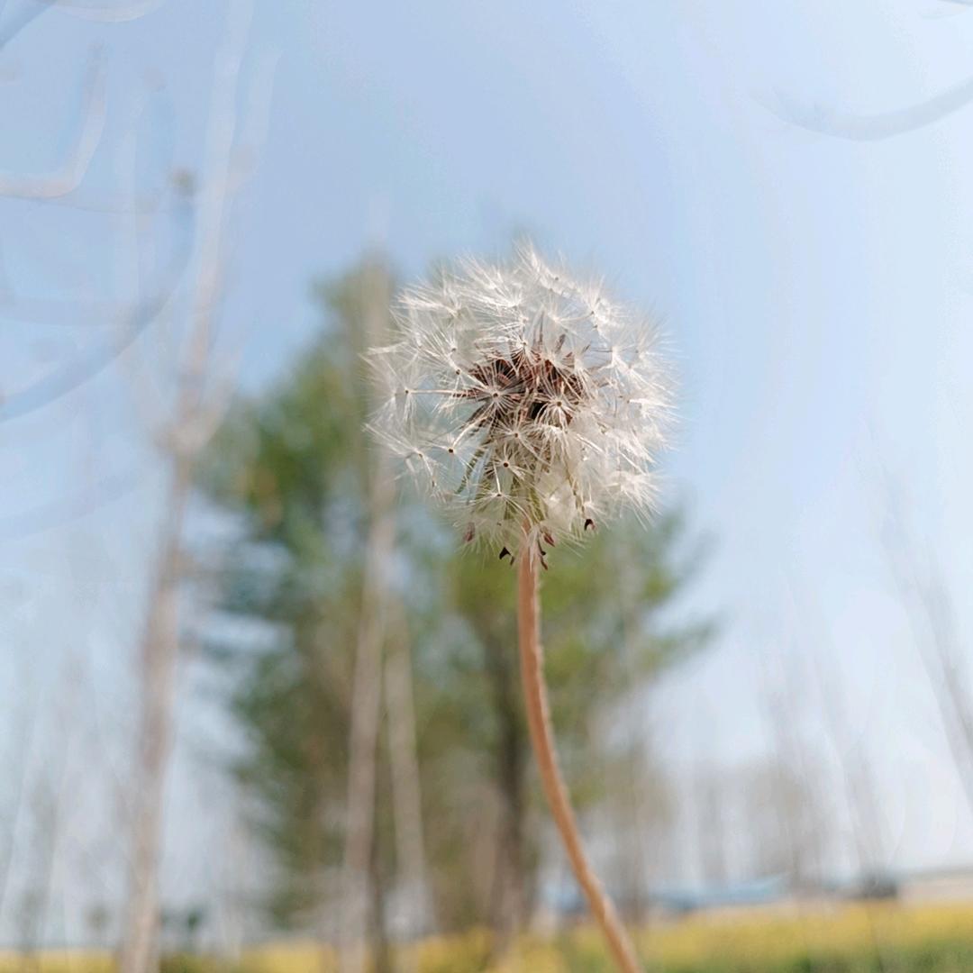 是雯洁呀！？！