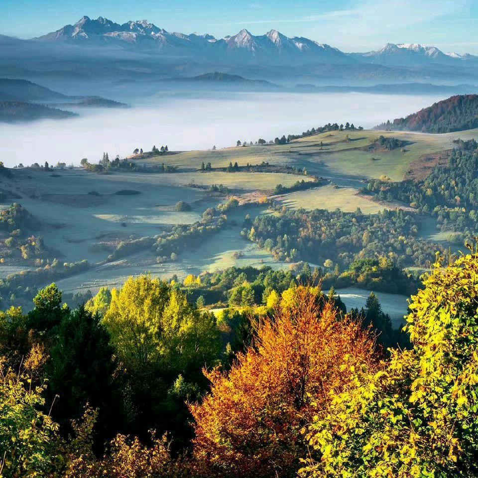 余生💞陪你💞到老