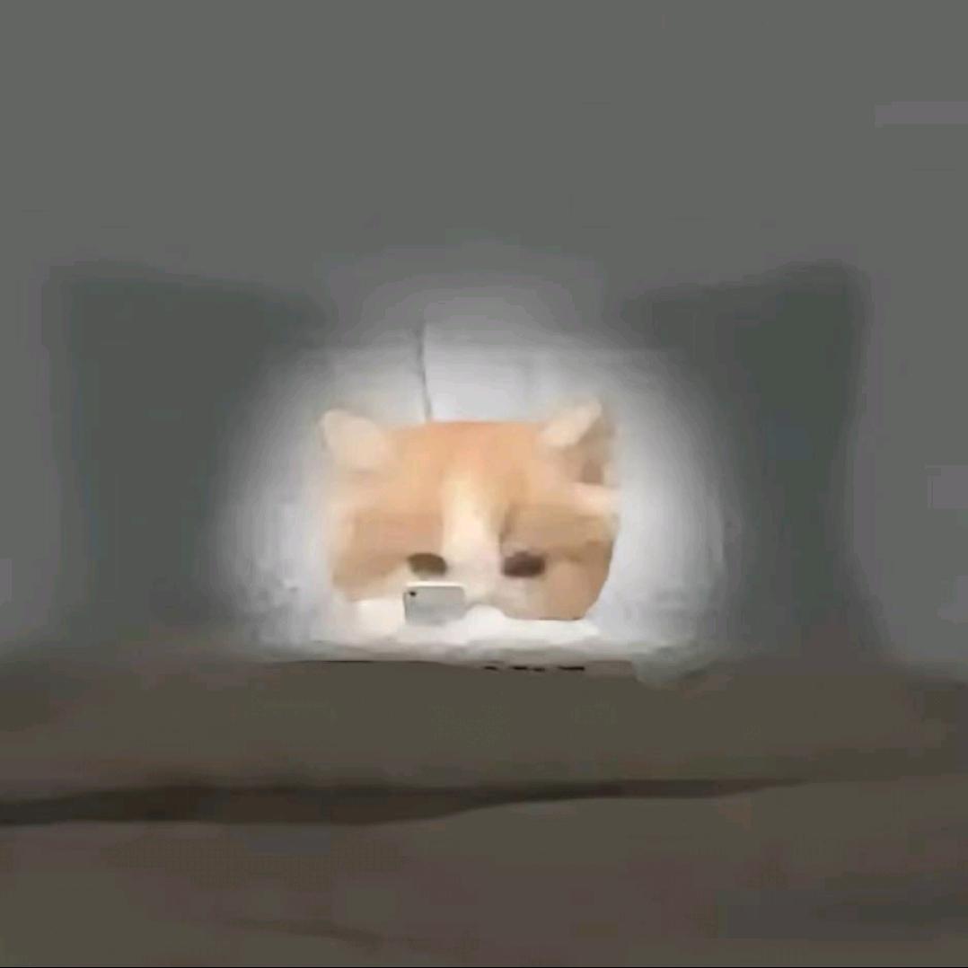 阿辰