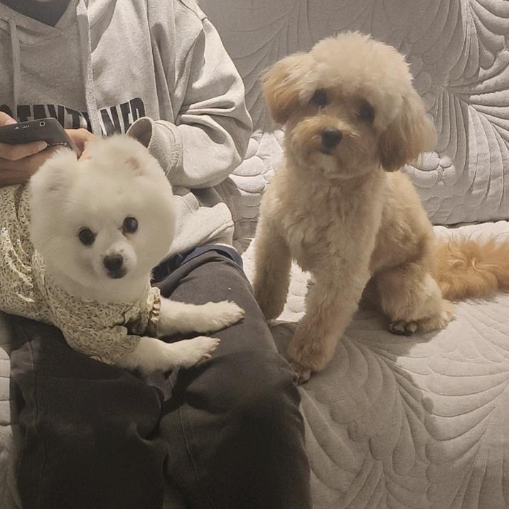 毛毛家🏠
