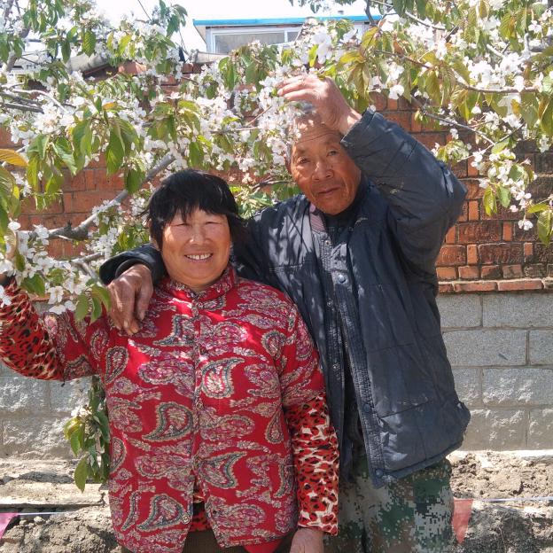 平(爱三个孙女们)