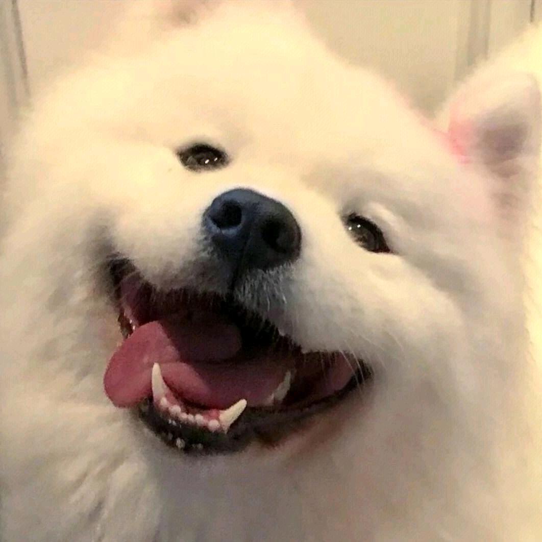 空巷  （留个关注）谢谢