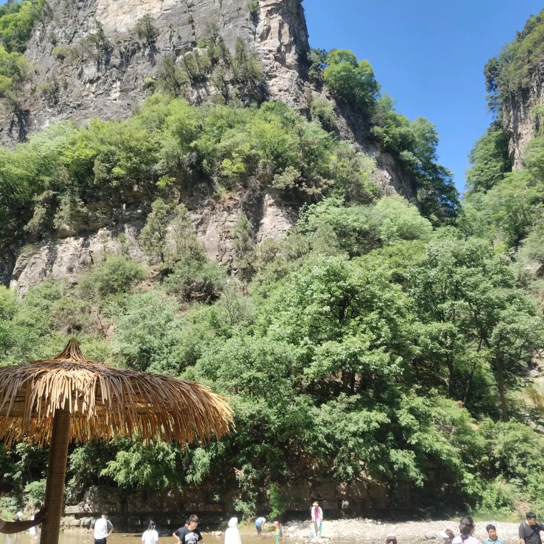 小贵爱唱歌