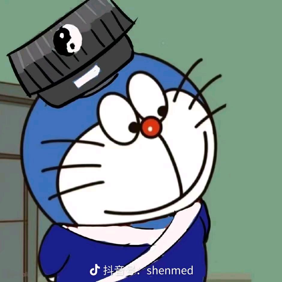 🐼AV8D莱斯够头像