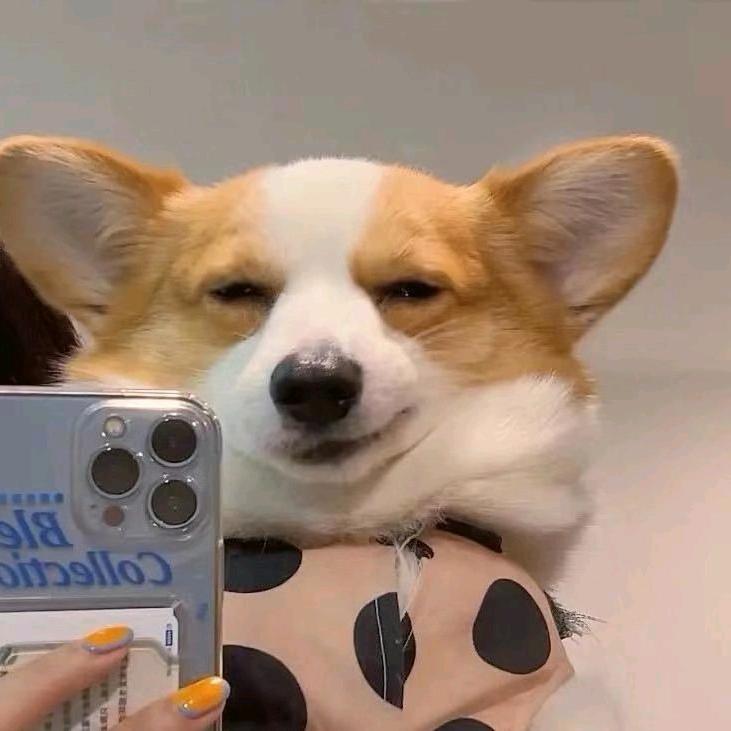 ▶︎ ︎ı||ıı||ıı||ı 24”