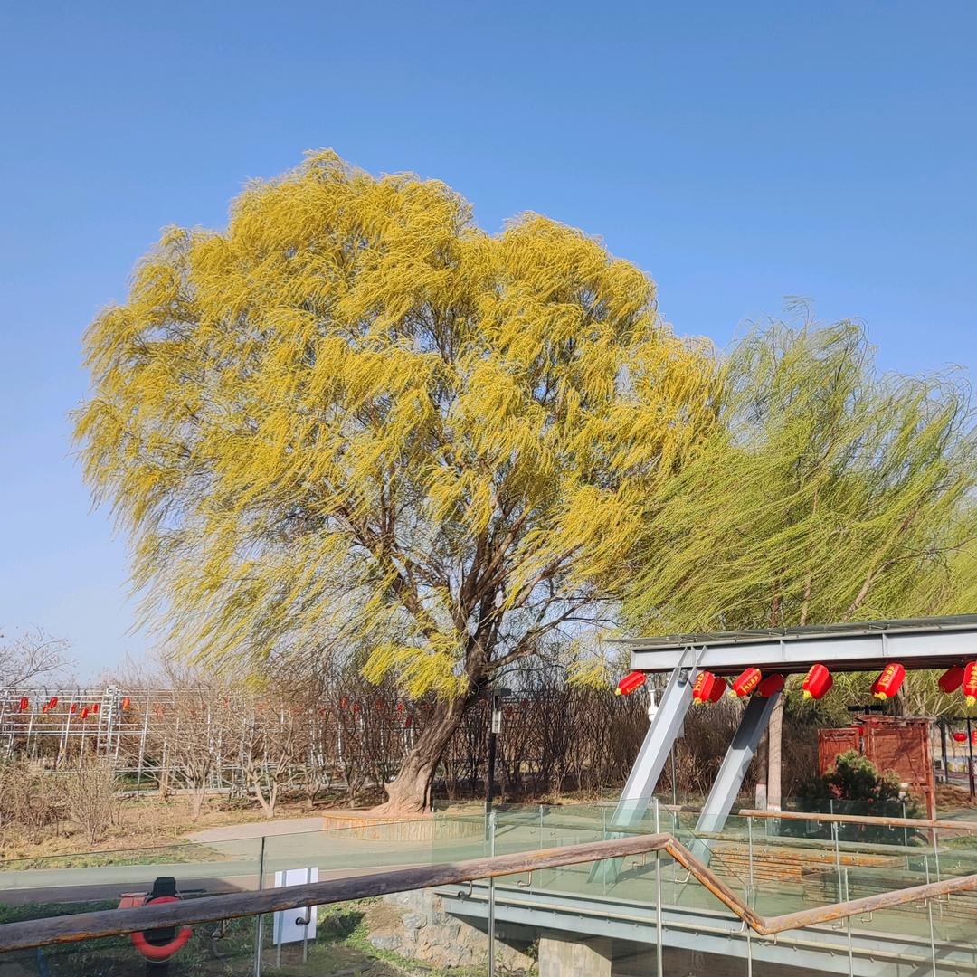 目裕阳光