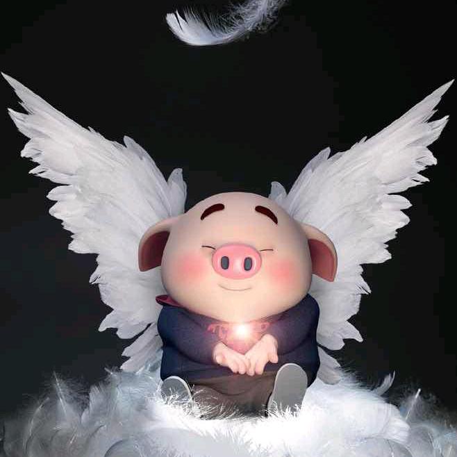 二哥遥望人世间