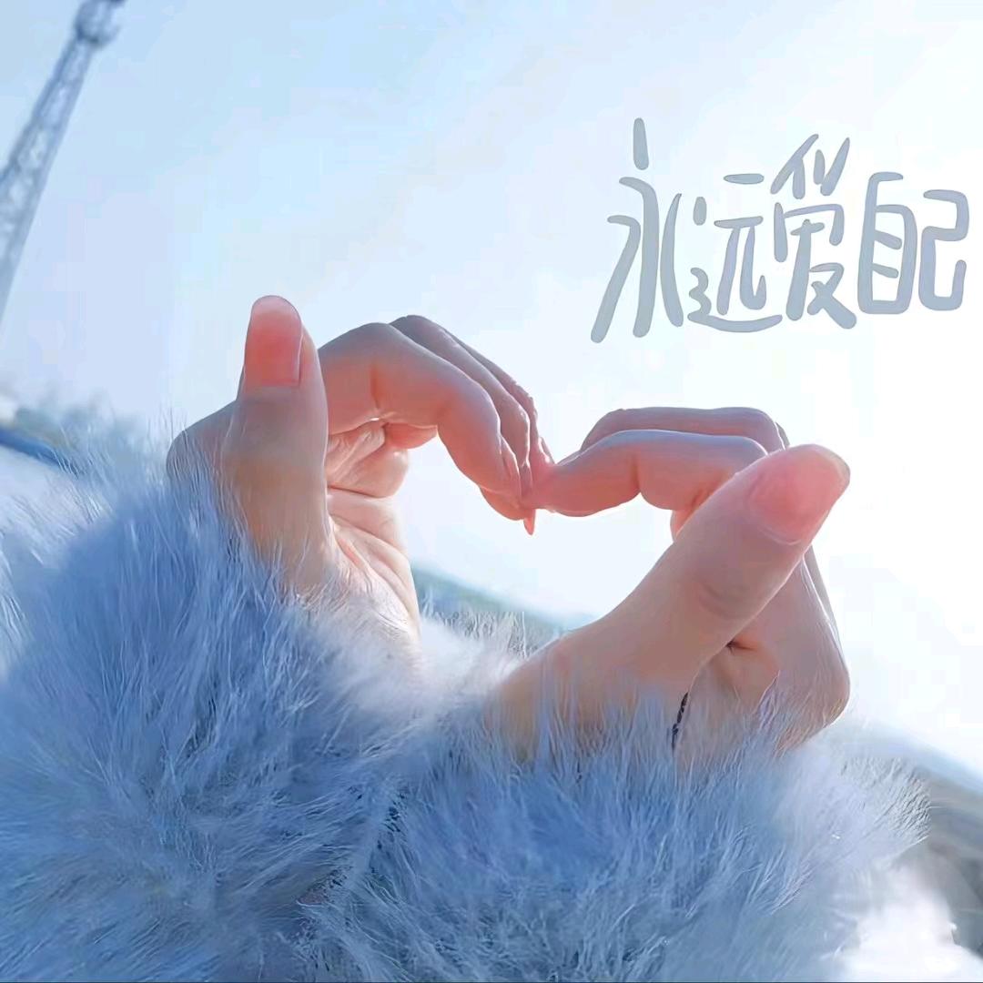 被困的小野猫🐱