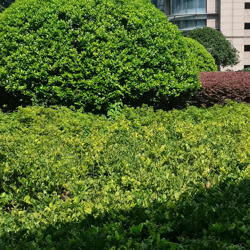 起航
