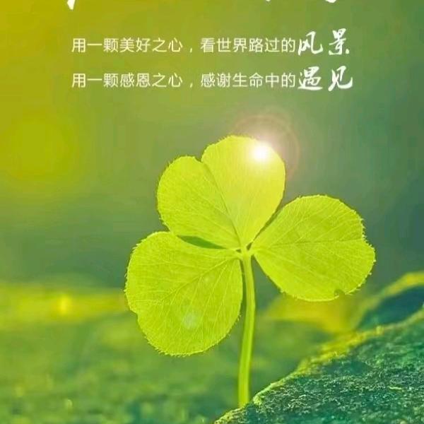 远嫁的凤丫头